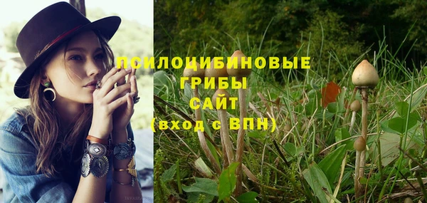 крисы Белоозёрский