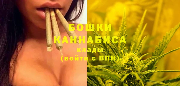 МДПВ Пестово